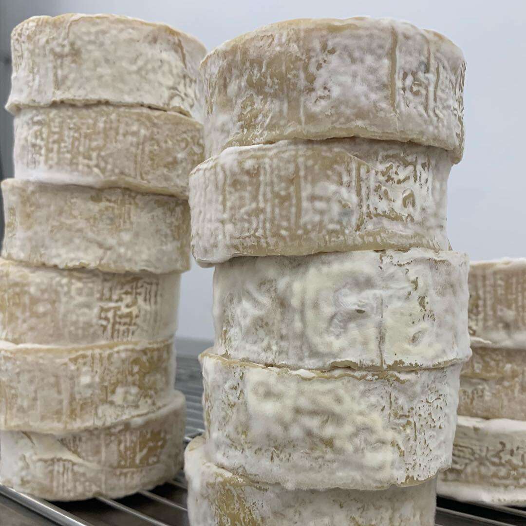 9220-1.jpg ESTO NO ES UN QUESO CAMEMBERT MOMMUS 115g - Imagen 2