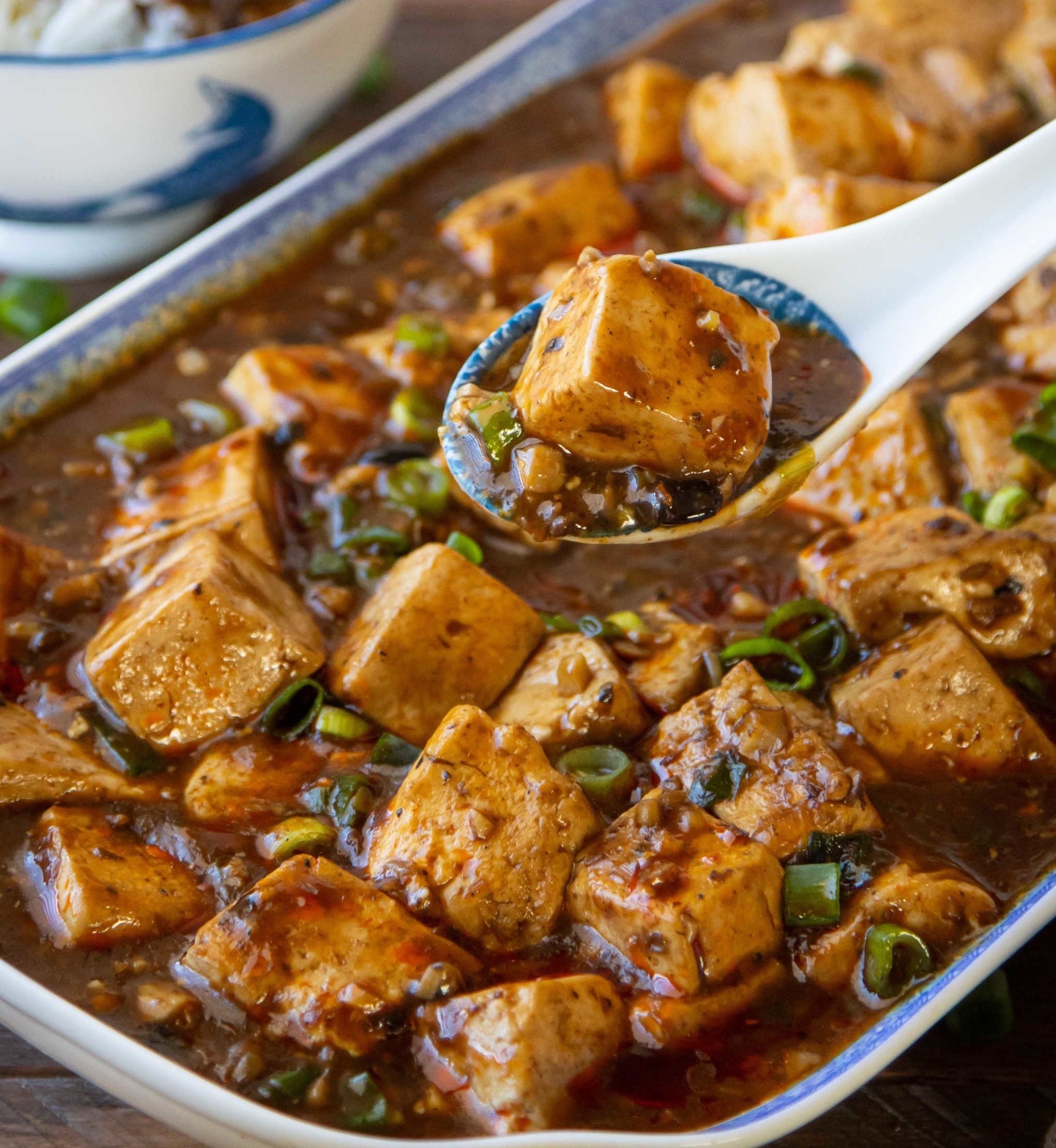 Vegan-Mapo-Tofu-5-scaled